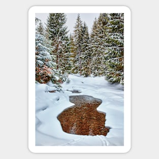 Mountain river in the winter Sticker